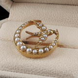 Antique c.1900 14K Gold Crescent Pearl & Bird Pin